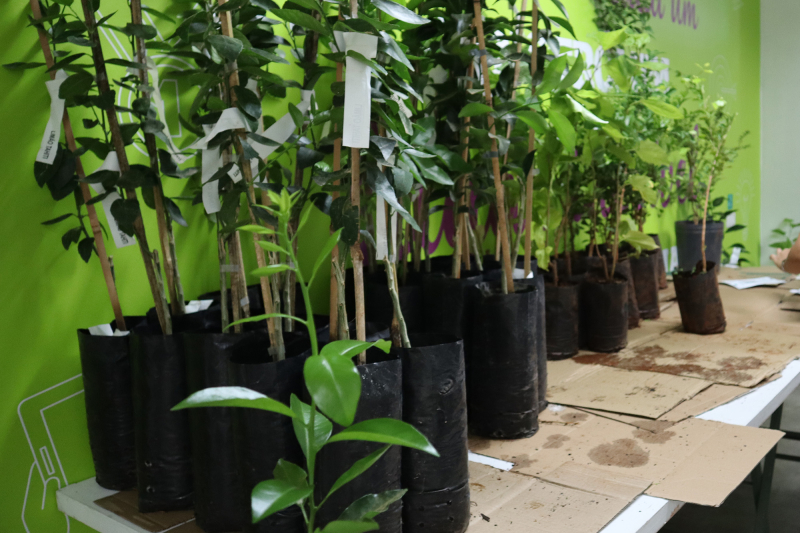 Descrição da imagem