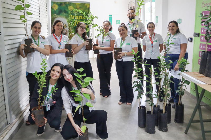 Descrição da imagem