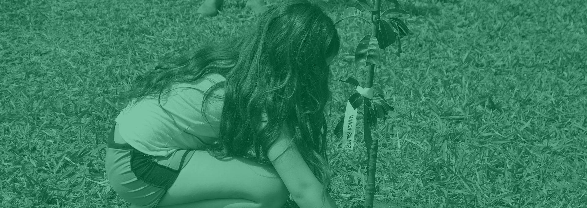 Descrição do banner